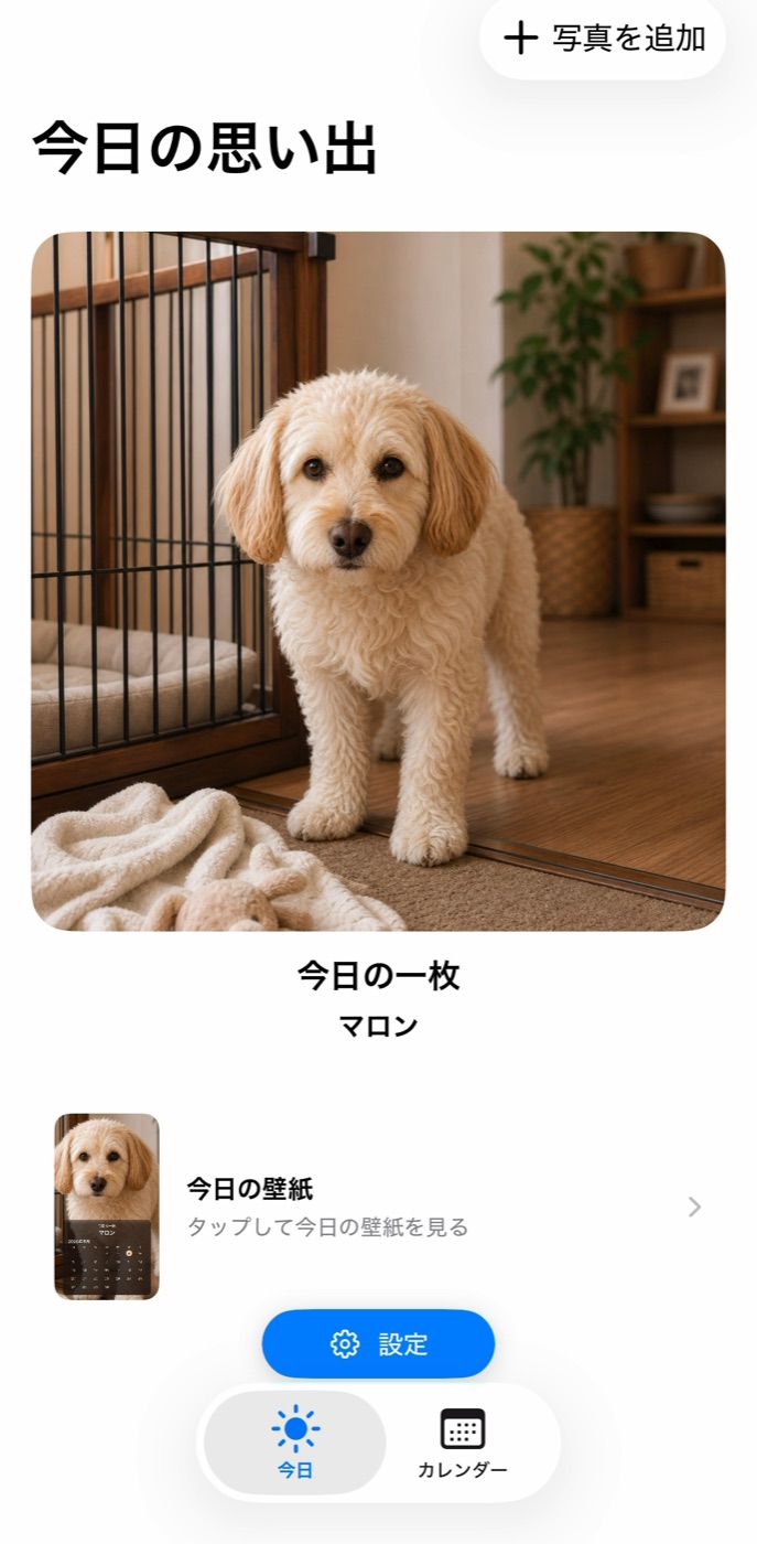 今日の一枚が表示された今日タブ
