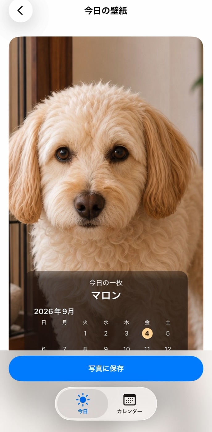 写真にカレンダーを重ねた壁紙