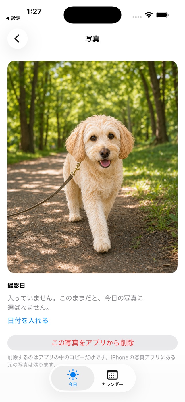 撮影日を入れる