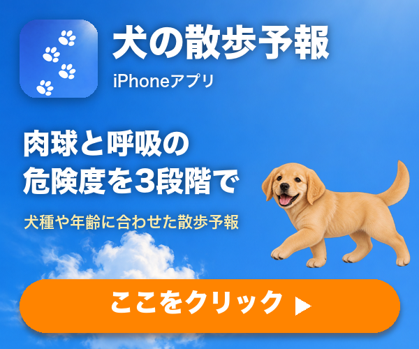 犬の散歩予報